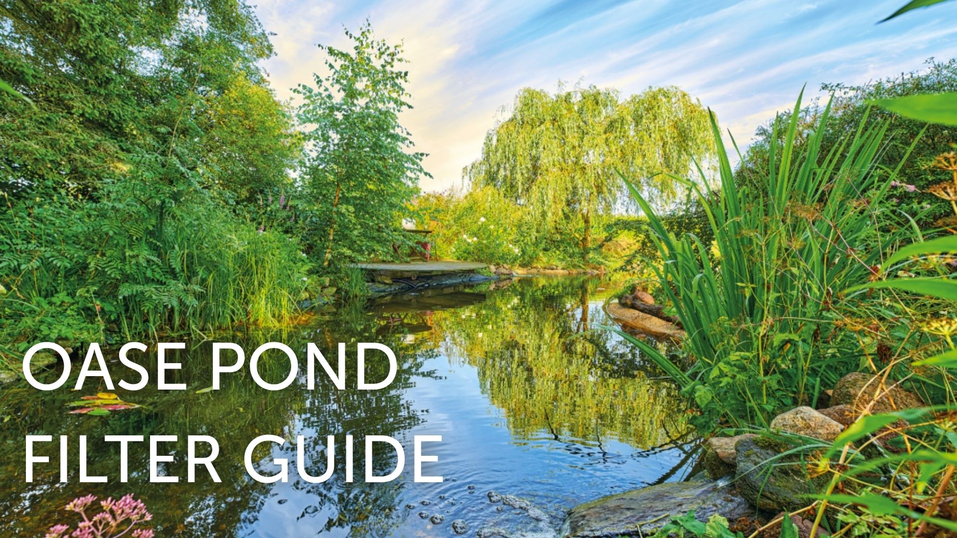 Oase Pond Filters