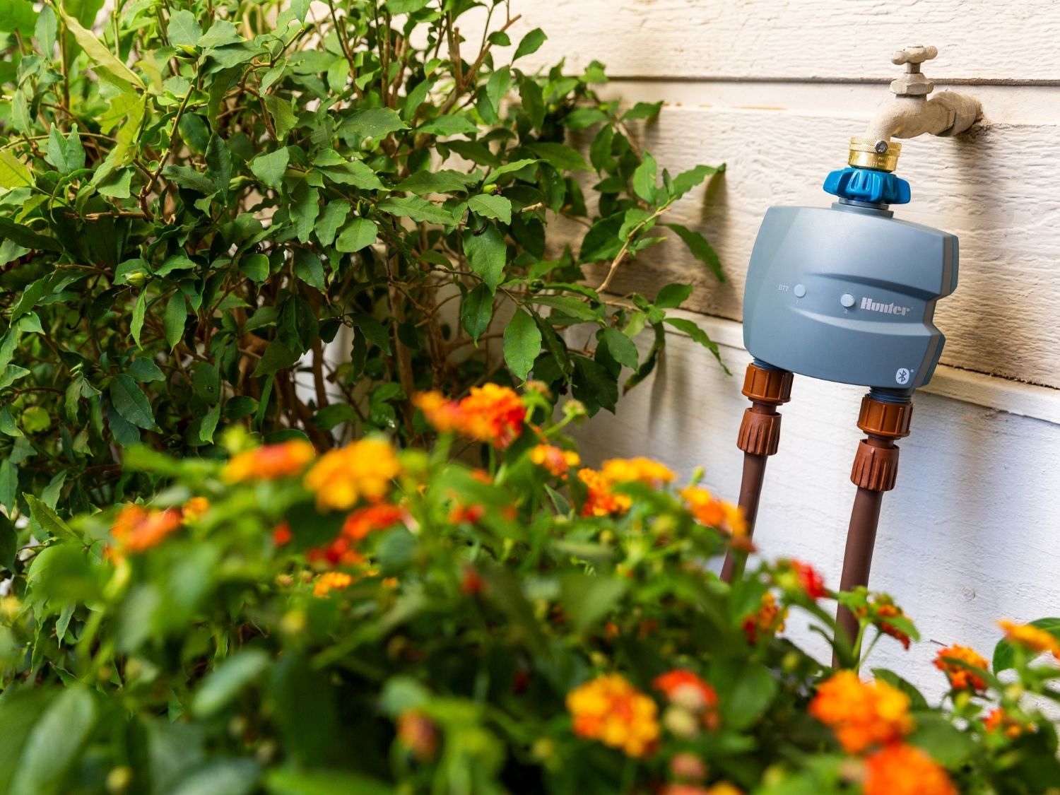 taps-tap-timers category image