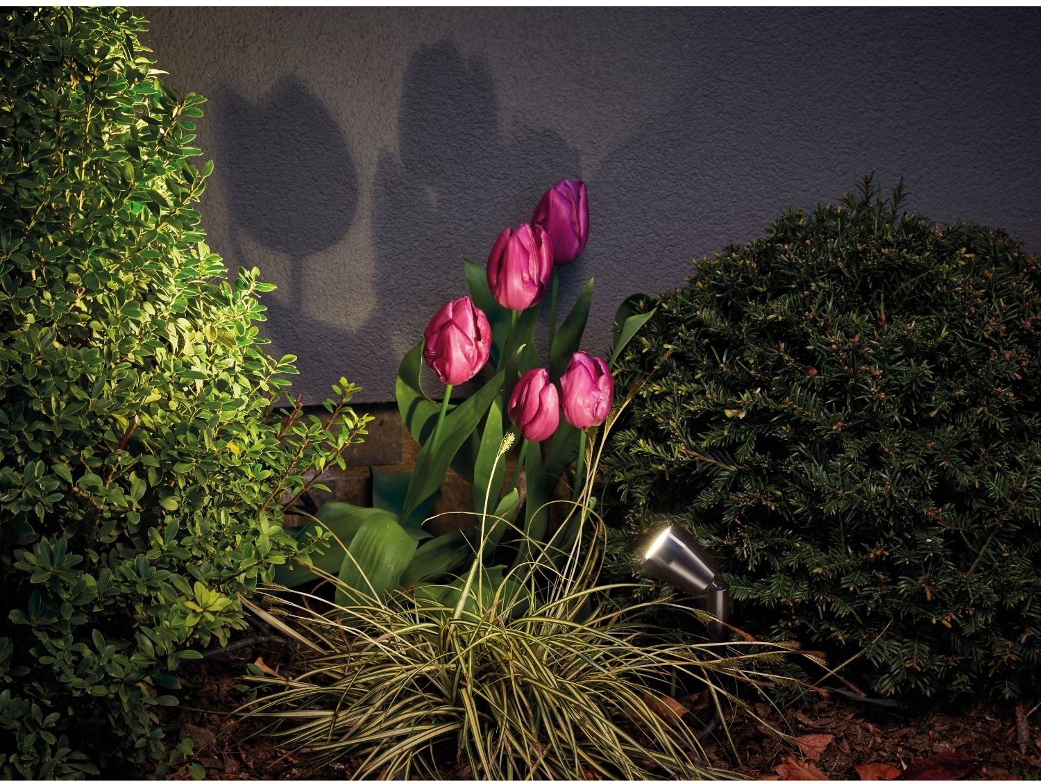 spike-spotlights category image