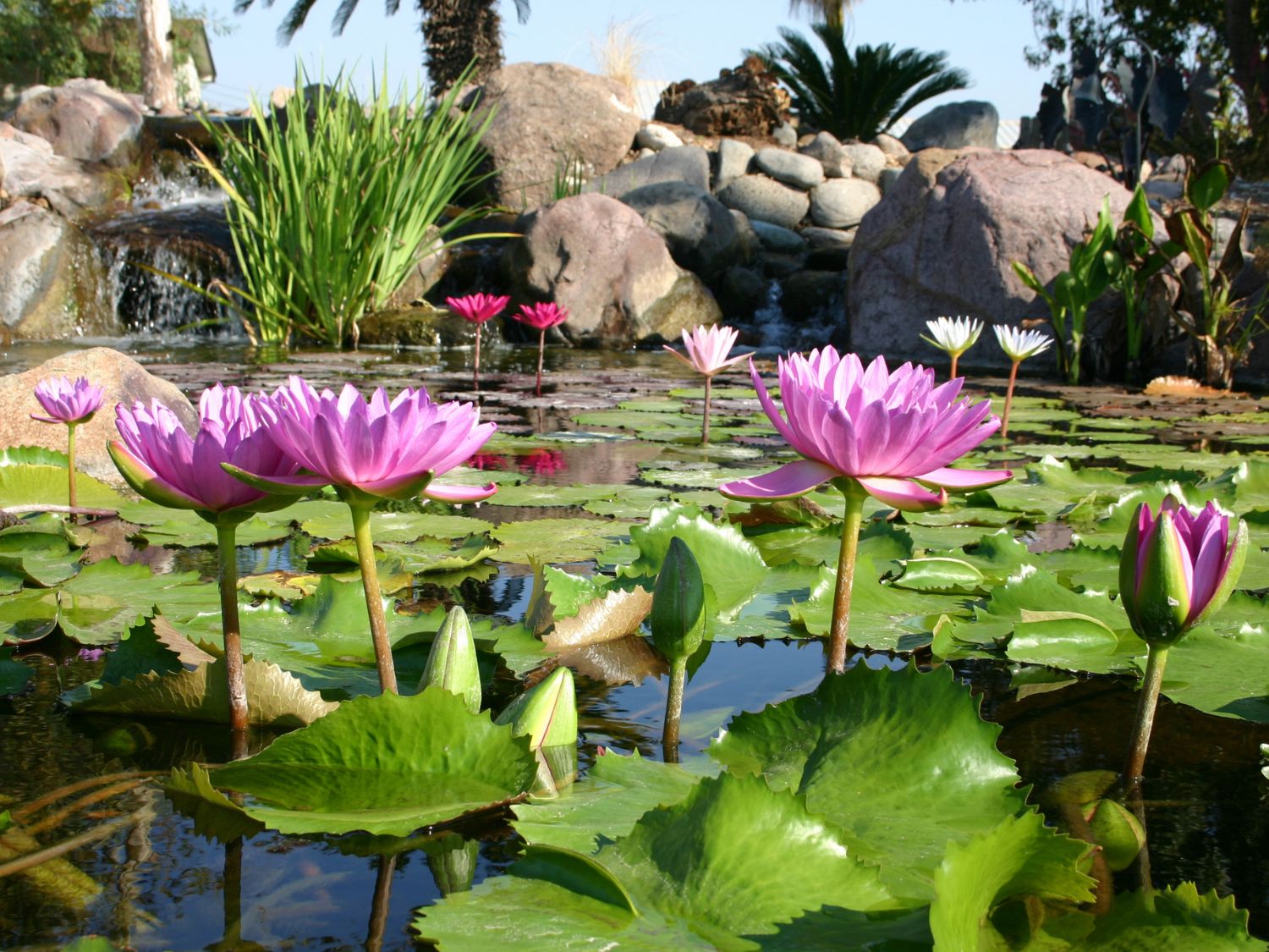water-features category image