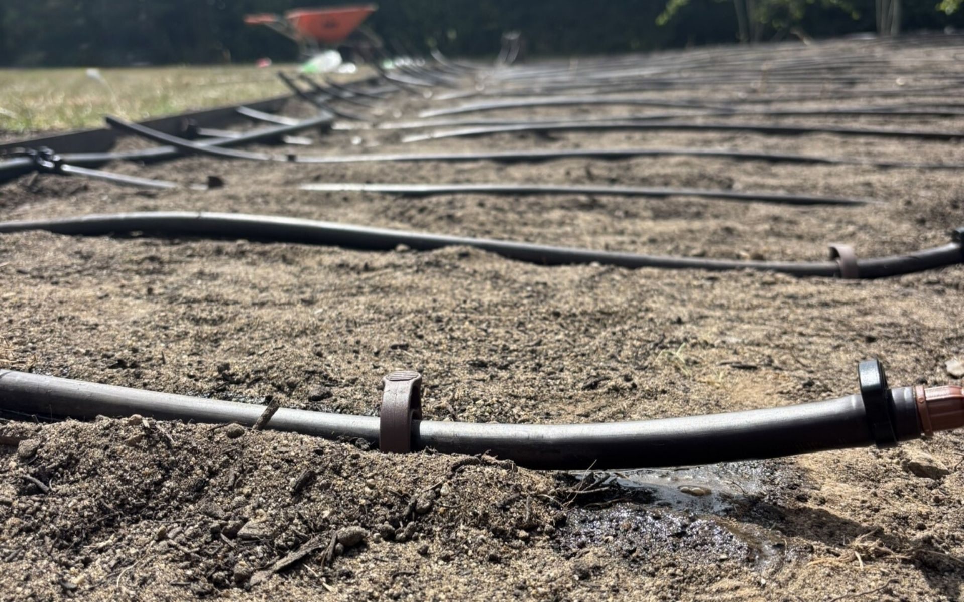 Drip Line Irrigation Drip Line Irrigation