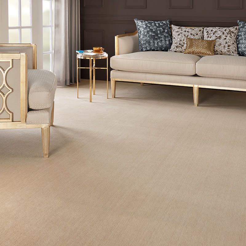 Grand Velvet PT99 Shell