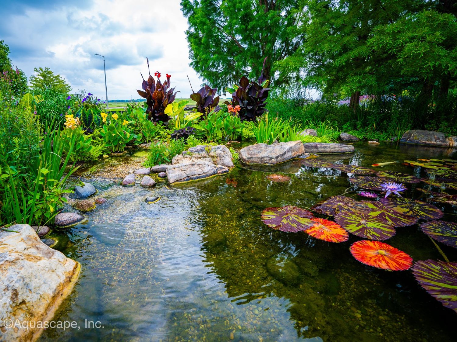 wetland-filtration category image