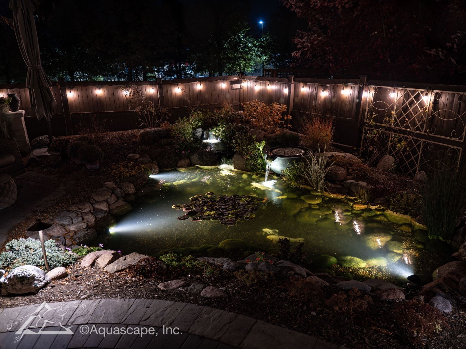 warm-white-power category image